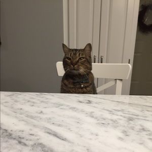 Meet your Posher, Julia